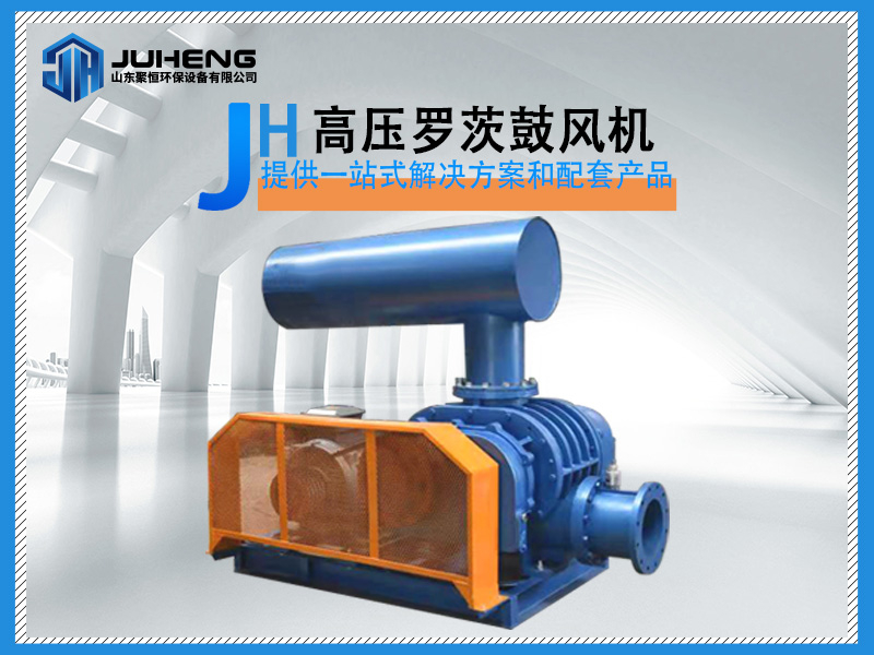 高壓羅茨鼓風(fēng)機(jī)